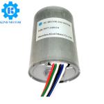 20000rpm High Rpm Brushless Dc Motor , BL3657 100w Bldc Motor