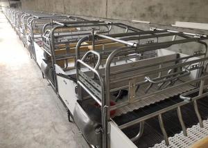 Automatic Swine Hog Gestation Crates Floor Standing HI HOPE