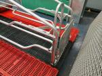 Steel Pipe 4 Foot Hot Dip Galvanized Steel Farrowing Box