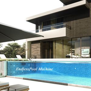 IPX8 Rated Swimming Pool Equipment And 250mm Immersion Depth