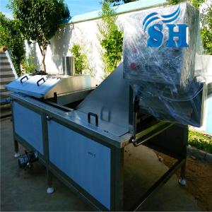 China frozen french fries machinery factory