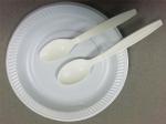 5.5/6/6.6 Inch Biodegradable Corn Starch Spoons Eco Friendly Durable And Heat
