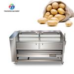 1500KG/H Sweet potato cleaning and peeling machine manufacturers supply brush