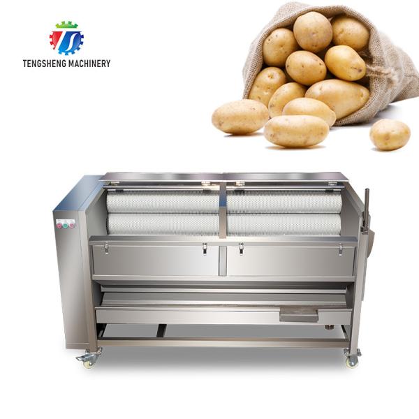 1500KG/H Sweet potato cleaning and peeling machine manufacturers supply brush