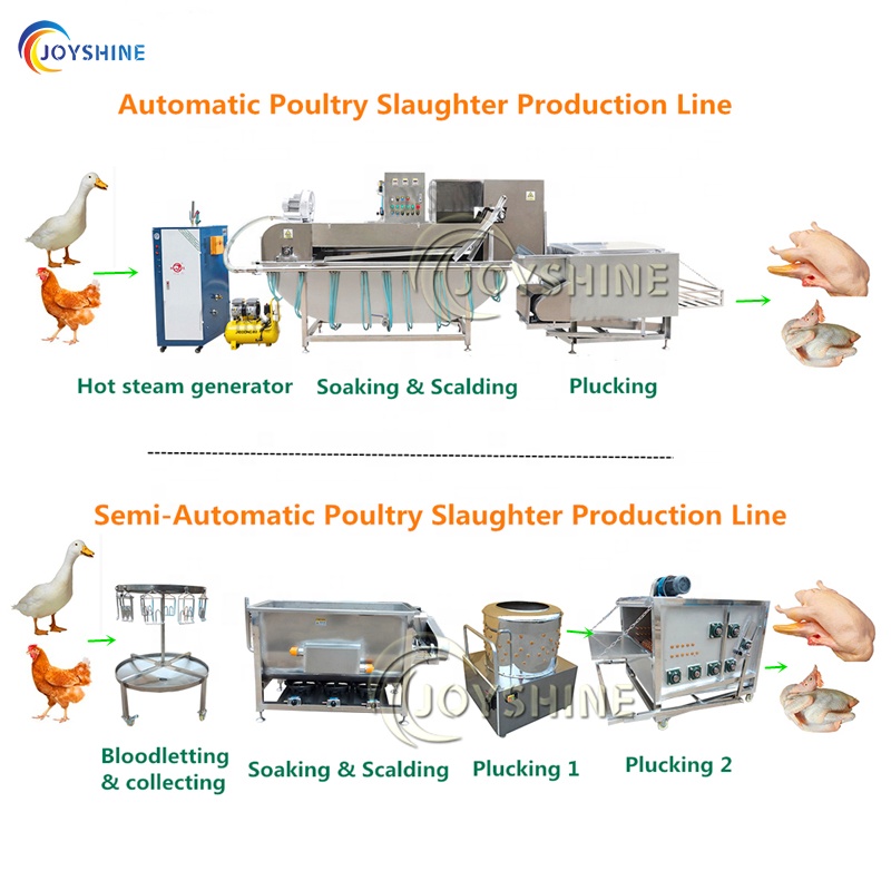 Stainless Steel 1400r/min Automatic Electric Chicken Feather Plucker Machine