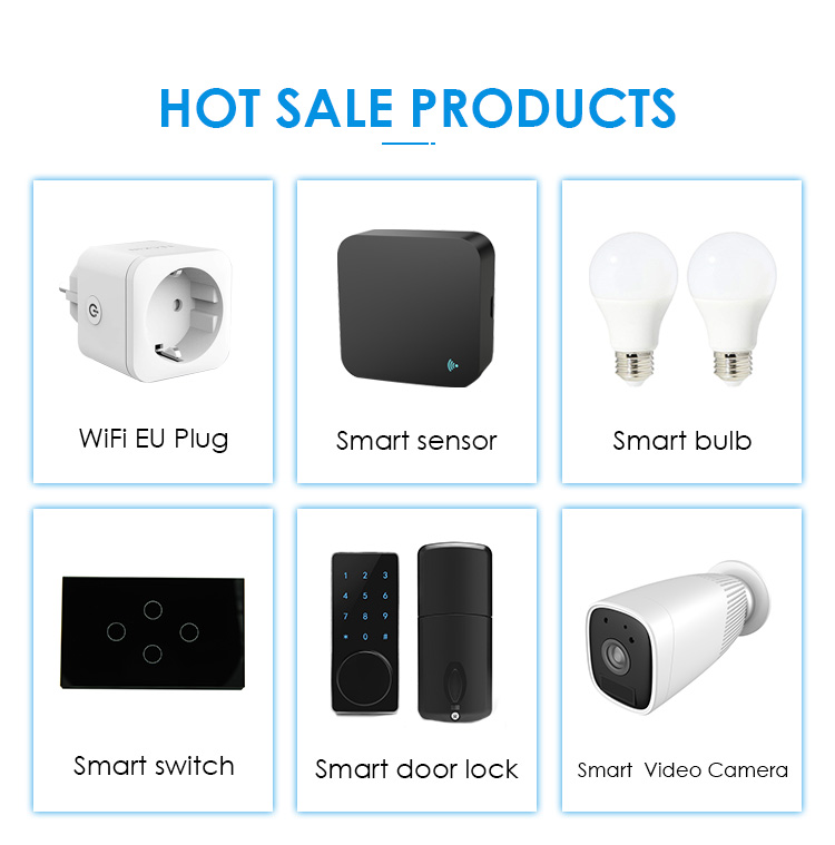 Aluminium Bezel Tuya Smart Switch
