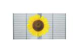 P3.91 Transparent LED Curtain Display 1000x1000mm High Transparency