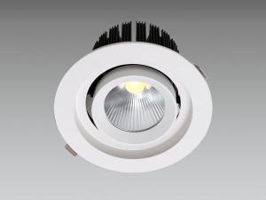 China 11W - 50W Adjustment Dimmable LED Downlight Spotlight SEC-L-SL100 factory