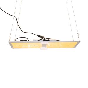 China waterproof 50000H Lm301b Indoor LED Grow Light factory
