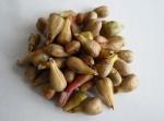 natural antioxidant Grape seed Extract, OPC 95%, WHITEN SKIN, anti wrinkle, anti