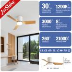 Customized LED Ceiling Fan Light for Modern Nordic Stylish 42 Inch Flush Mount