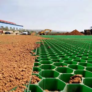 Ground Reinforcement Grids Gravel Plastic Grass Grid / Stabilizing Driveway