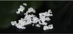 98 % Min Water Soluble Fertilizer Calcium Nitrate Crystals For Explosive