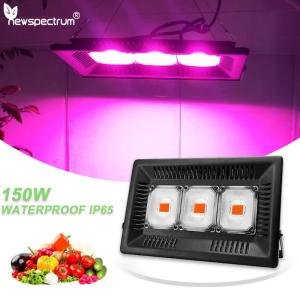 China Full Spectrum COB LED Chip factory