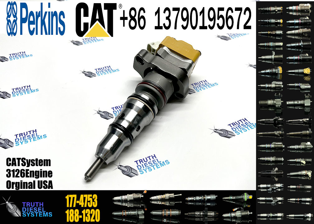 Fuel Injector 171-9710 171-9704 178-6432 177-4753 138-8756 222-5963 222-5972 173-4059 155-1819 155-8723 2C0273