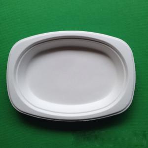 China biodegradable eco-friendly tableware sugarcane small oval shaped food tray factory