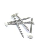 50mm X 2.65mm Annular Ring Shank Plastic Cap Roofing Nails Stainless Steel A4