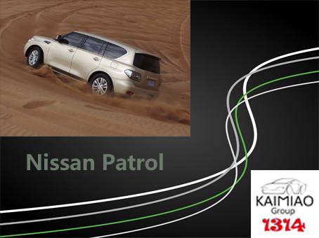 Nissan Patrol Electric Side Steps , Powerstep Motorized Side Steps Running