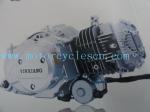 1P52FMI 124.9ml Single cylinder Air cool 4 Sftkoe Two Wheel Drive Motorcycles
