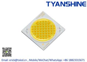China 50Watt COB LED Module 2700K-6500K Tunable White 95CRI Smart Lighting LED COB factory