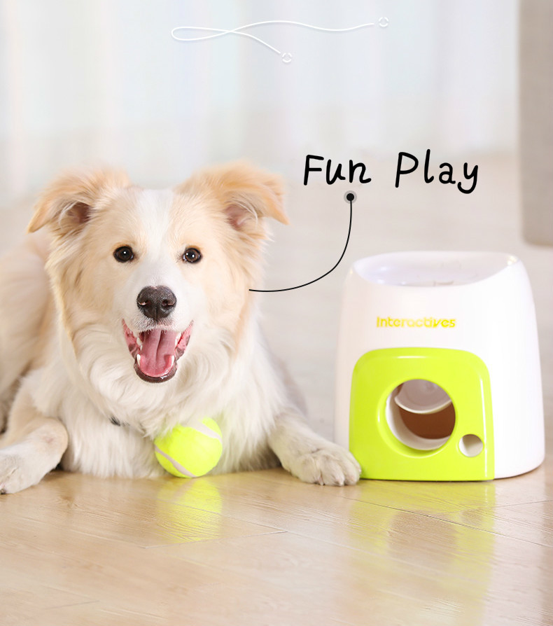 Eco Friendly PP Dog Interactive Training Feeding Machine