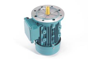 China Three - Phase Electrical AC Induction Motor With CE Certificate 0.06KW 4 Pole factory
