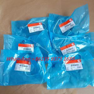 China Cummins QSB6.7 diesel Engine part Fuel Supply Tube 3978031 3978032 3978034 3978036 factory