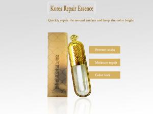 China Korean tattoo Repair Essence cell repair agent ice crystal anti-scar tattoo repair solution quick repair factory