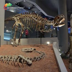 China landscape decoration Outdoor Yangchuanosaurus Skeleton Dinosaur Replica Fossil factory