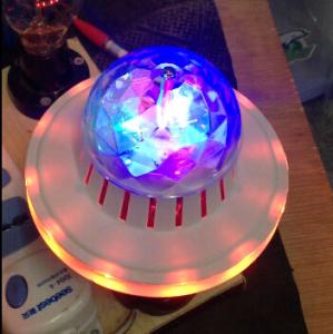 China BN-618 LED Flower Bulb factory