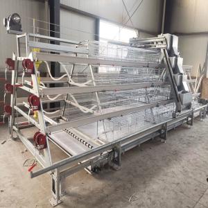 China Cold Hot Galvanized A Type Broiler Baby Chick Cage High Feeding Efficiency factory