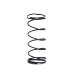 SUS304 6.0mm Flat Compression Spring