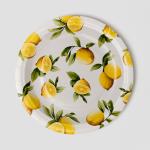 Eco Friendly Biodegradable Paper Plates Compostable Lemon Birthday Party