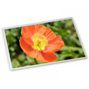 China M238HAN03.1 23.8-Inch IPS WLED TFT-LCD Screen Panel with LVDS Interface 1920*1080 Resolution LCD Display factory