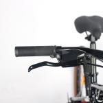 Aullt Unisex 26 Inch Mountain Bike 21 Speed Mtb Women Men Mountain Bicycle