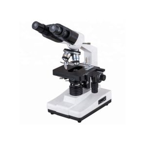 China WF10X 40X 1600X Student Biological Microscope School Lab Compound Binocular factory
