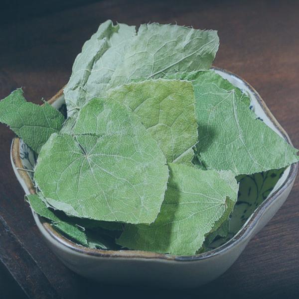 Pet Nutritional Supplements Plant Extract Powder For Pet Joint Care Relieve