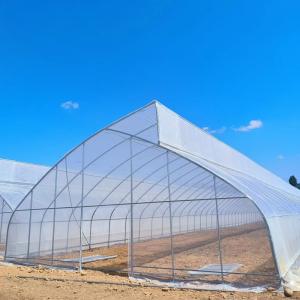 China 10ft Plastic Film Sawtooth Greenhouse Tunnel Tropical Top Ventilation Tomato Growing factory