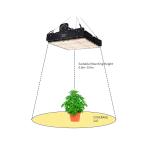 Full Spectrum T5 Led Grow Light For Indoor Plants 250w
