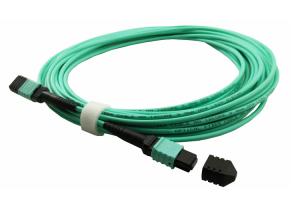 China 24F OM4 TypeB MPO MTP 3.0mm 3D tested Elite Loss patch cable factory