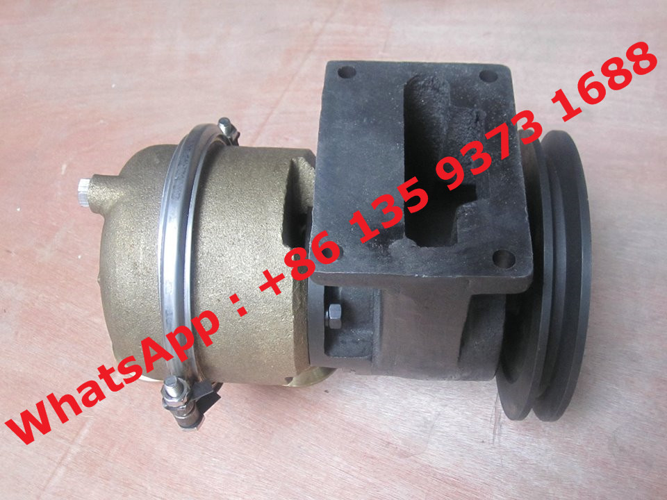 Hot Sell Cummins NT855 diesel engine part Sea Raw Water Pump 3655857 for marine