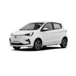 2024 Changan E-Star EV Mini Car Pure Electric Cars Euro VI Standard Tax-Free