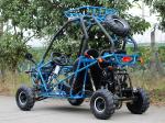 Horizontal Single Cylinder 110cc Go Kart Buggy For Mountain Road