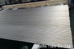 ASMESA789 uns s32101 duplex stainless steel Pipe,Duplex Steel Tube Oil