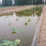 Black Geomembrane for Landfill Site Sewage Treatment Plant Fish Pond Hillside
