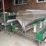 24 Cells Battery Operating Farm Rabbit Cage Two Tiers Easy Cleaning Durable