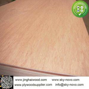 China 5.2mm bintangor face /red hardwood face plywood factory