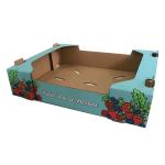 Stable Fruit Carton Box Cardboard Carton Kraft Packaging For Fruit Vegetable