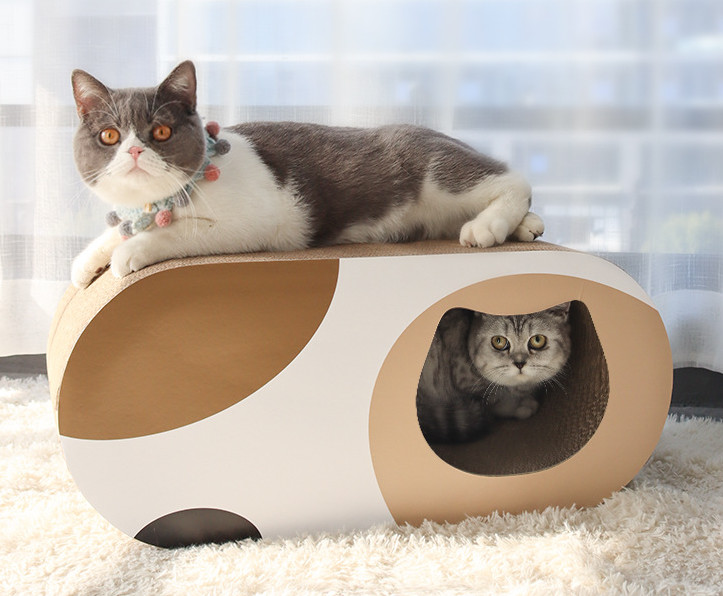 double cat bed price
