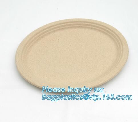 biodegradable tableware 5 compartment sugarcane tray,100% Biodegradable